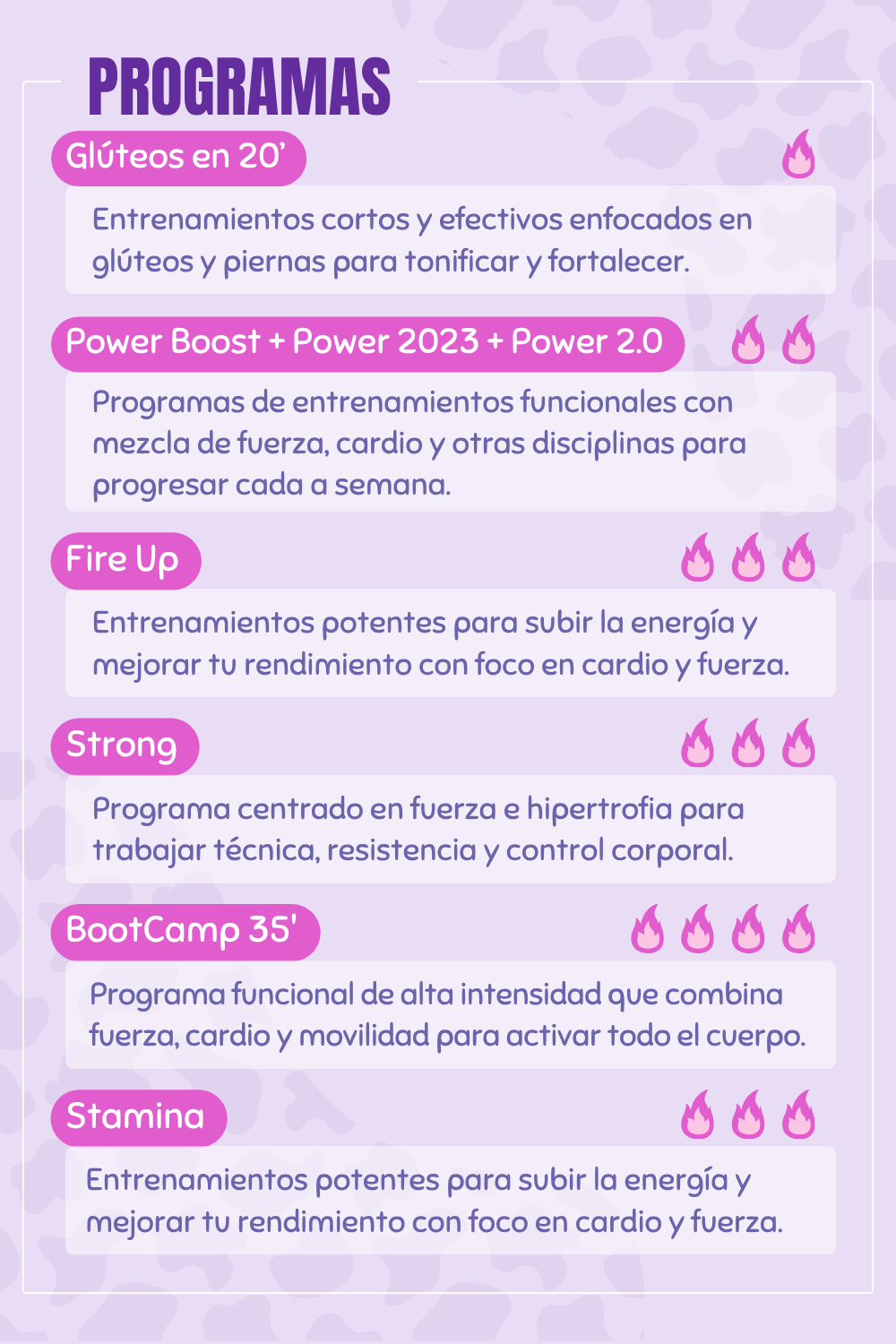 Membresía de 12 meses