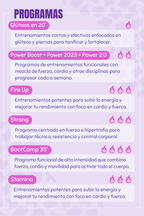 Membresía de 12 meses