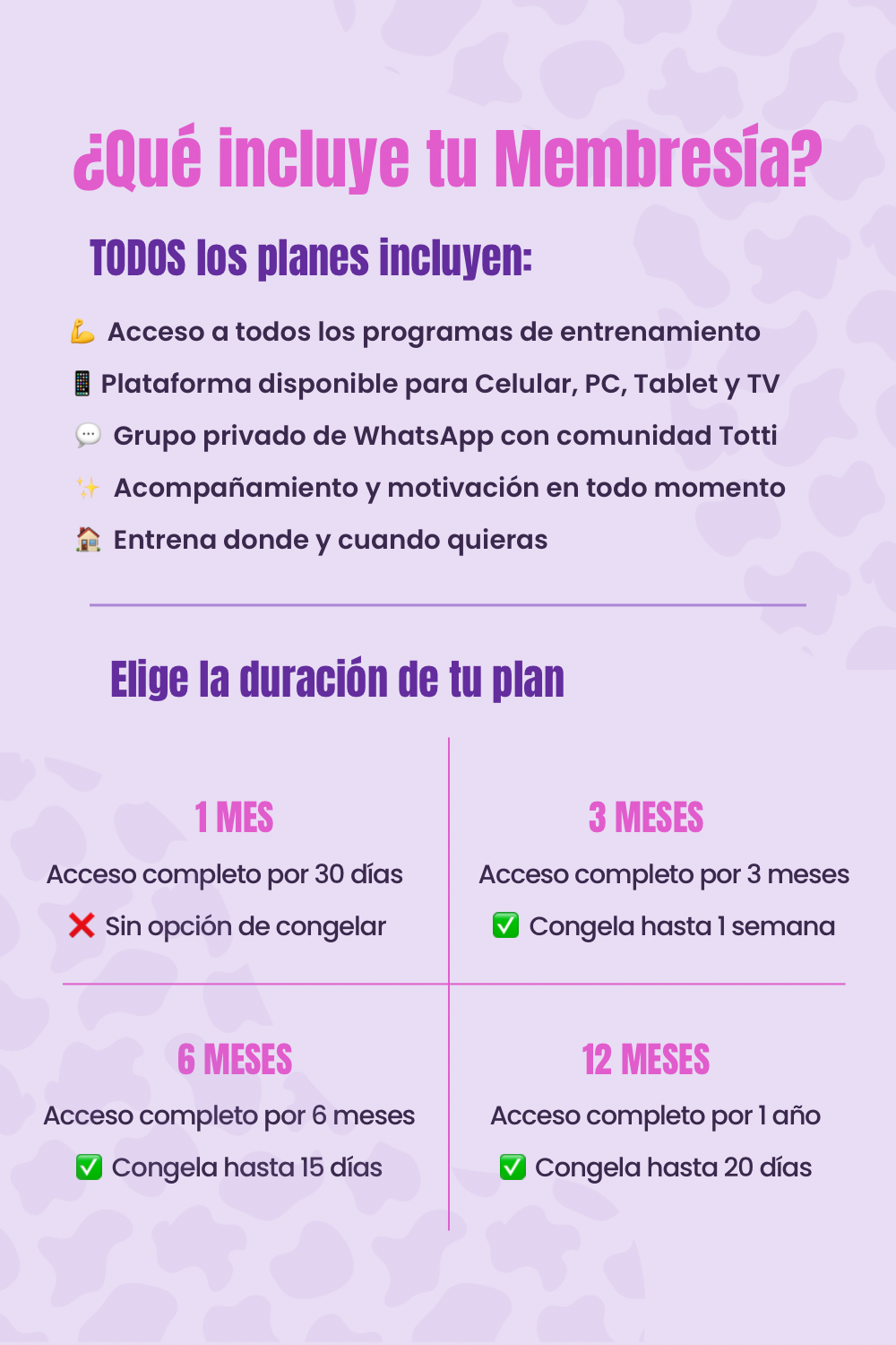 Membresía 3 meses